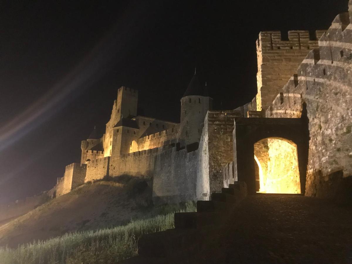 Le Clos Saint Michel Carcassonne Ngoại thất bức ảnh