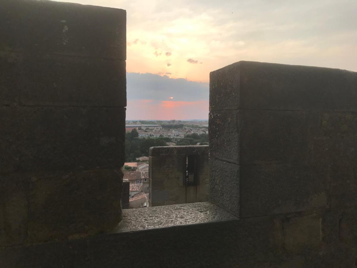 Le Clos Saint Michel Carcassonne Ngoại thất bức ảnh