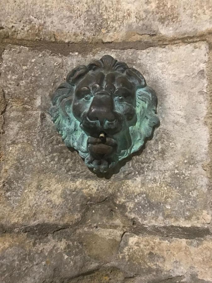 Le Clos Saint Michel Carcassonne Ngoại thất bức ảnh
